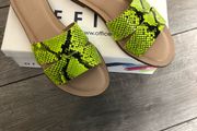 Brand new sandals from office.