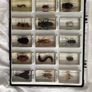 National Geographic insect blocks and magazines Image 2