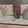 126L Fluval Aquarium + Stand, Light, and Filter Image 2