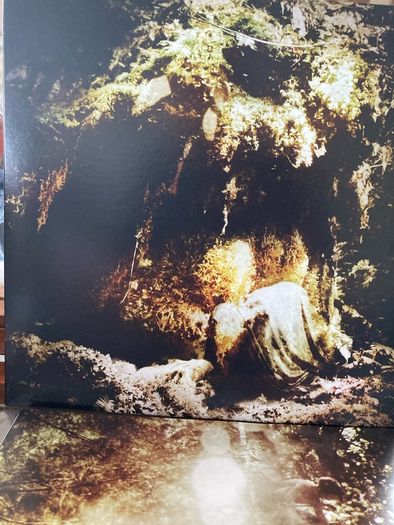 Wolves In The Throne Room - Celestial Linage