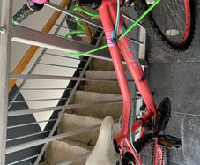 Apollo bicycle.