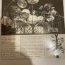Mogwai / Magoo - Do The Boogaloo (Black Sabbath) Image 5