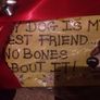Dog bowl gift set Image 2
