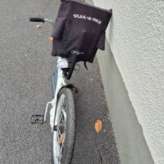 wee ride tag along bike