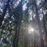pollyanna84