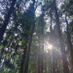 pollyanna84