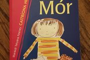 An Run Mor by Caitriona Ni Mhurchu Vintage Irish Language Childrens Kids Book Illustrated Educational Book Gaeilge Gaelic