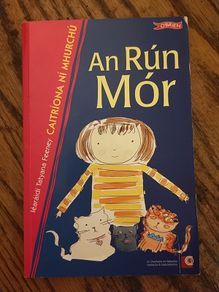 An Run Mor by Caitriona Ni Mhurchu Vintage Irish Language Childrens Kids Book Illustrated Educational Book Gaeilge Gaelic
