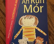An Run Mor by Caitriona Ni Mhurchu Vintage Irish Language Childrens Kids Book Illustrated Educational Book Gaeilge Gaelic