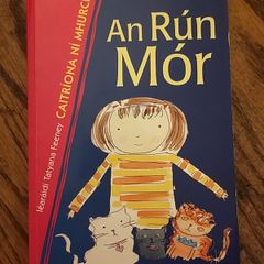 An Run Mor by Caitriona Ni Mhurchu Vintage Irish Language Childrens Kids Book Illustrated Educational Book Gaeilge Gaelic