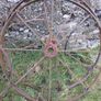Old hay rake wheels Image 2