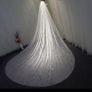 Cathedral Length Bridal Veil Image 3