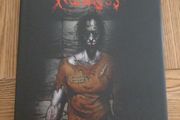 Arkham Asylum Madness - graphic novel