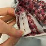 YD shorts for 7-8 year old Image 6