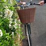 Bicycle Ladies Image 5
