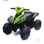 electric quad Image 7
