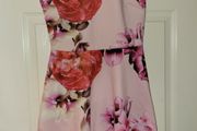 Ted Baker dress