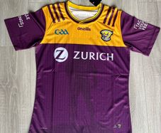 Brand New Wexford Mens Gaa Jersey