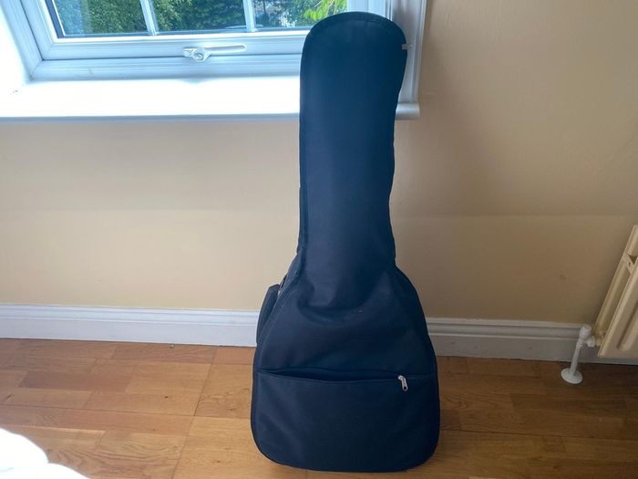 Alvaro Guitar 300
