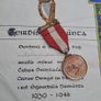 Irish Red Cross Emergency Service Medal and Certificate 1939-1946 Image 8