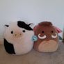 Squishmallows Image 2