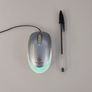Changing Light Mouse Image 2