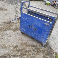 Calf dehorning crate