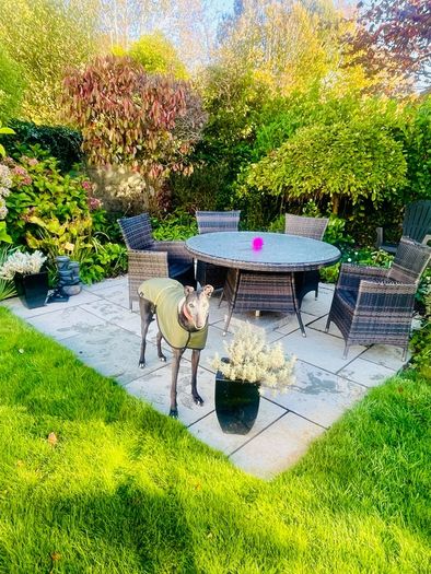 garden furniture