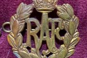 Dental Branch Wing Badges plus dental cap badge , militaria