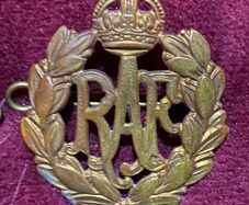 Dental Branch Wing Badges plus dental cap badge , militaria
