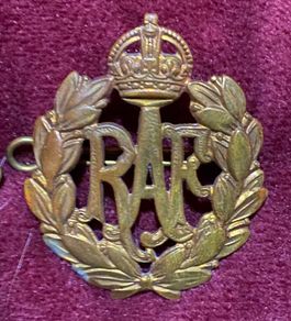 Dental Branch Wing Badges plus dental cap badge , militaria