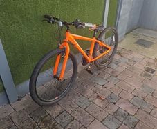 Raleigh Bike