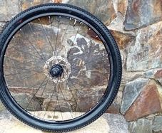 29 Inch Front Disc Wheel
