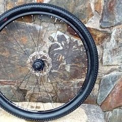 29 Inch Front Disc Wheel