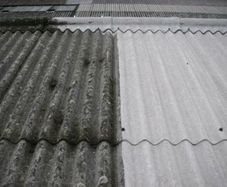Asbestos Roof Cleaning Munster