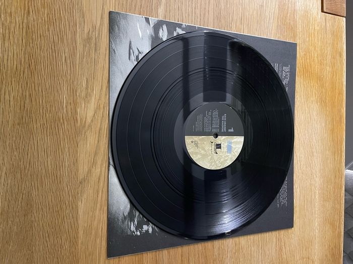RATM - Rage Against The Machine - 12" Vinyl 180gm LP - 2015 Reissued / Remastered
