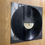 RATM - Rage Against The Machine - 12" Vinyl 180gm LP - 2015 Reissued / Remastered Image 5