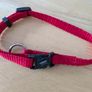 Ziggi Pet Collar Image 2