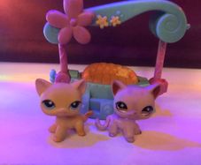 Littlest pet shop cats