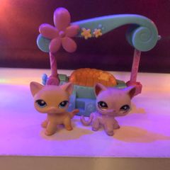 Littlest pet shop cats