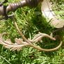 Antique Brass Ceiling Lamp 21" Image 2