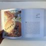 As kingfishers catch fire - book about birds Image 4