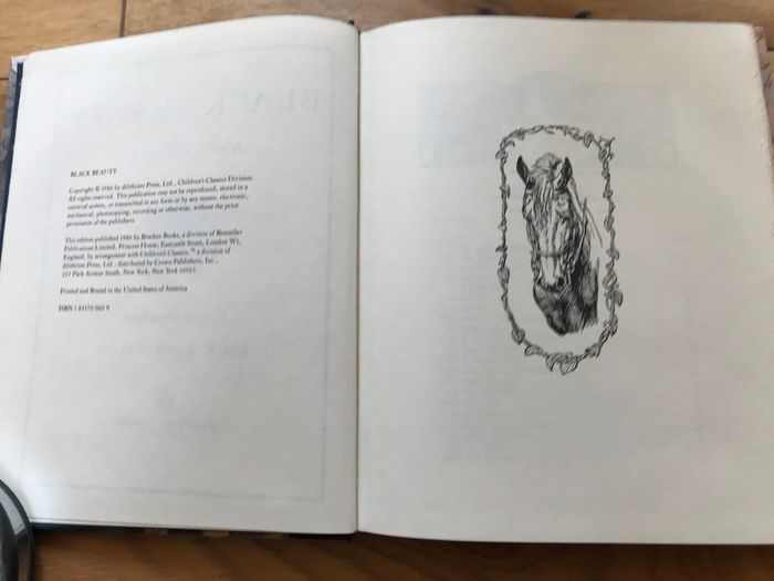 New Black Beauty Book