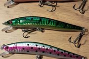 4 Minnows
