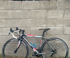 Torpado Temeraria Italian road bike