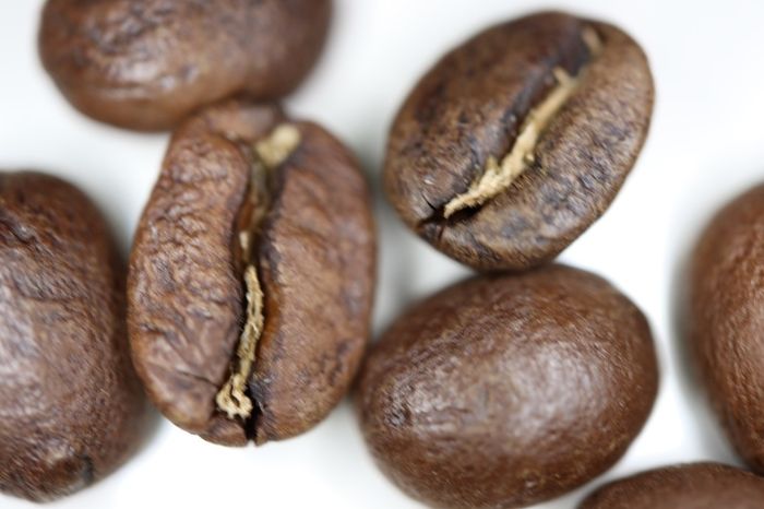 Freshly Roasted Coffee - Sound Coffee