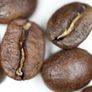Freshly Roasted Coffee - Sound Coffee Image 6