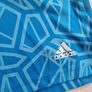 Manchester United Goalkeeper Kit age 11-12 yrs Image 7