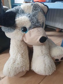 Large dog teddy