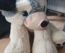 Large dog teddy
